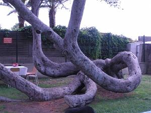 AOBR 2015 06 14 LA CIOTAT JOURNEE CABASSETTE (5)